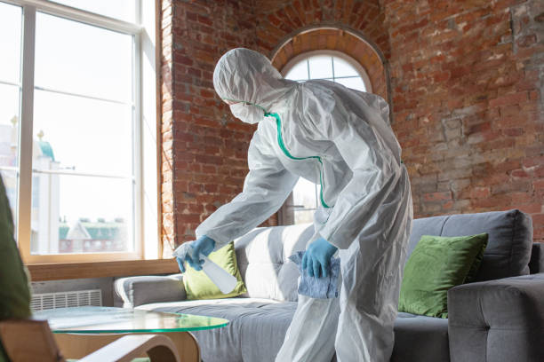 Best Environmental Consulting for Mold Prevention in USA